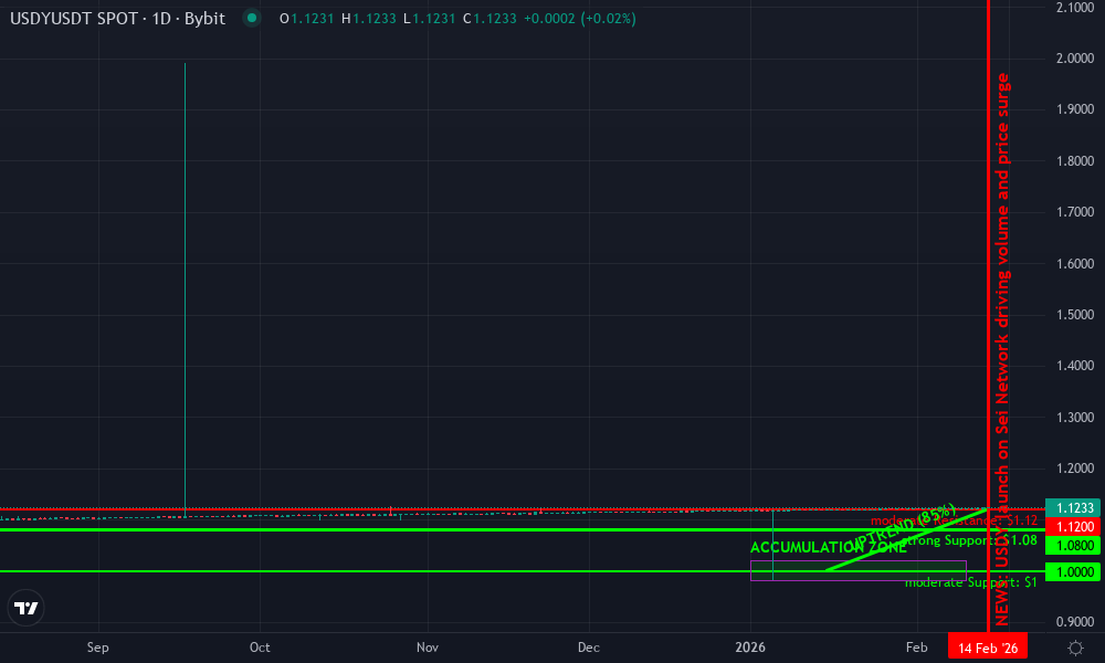 Ondo USDY Technical Chart by Market Analyst