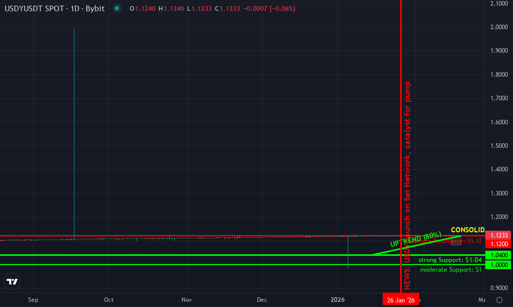 Ondo USDY Technical Chart by Market Analyst