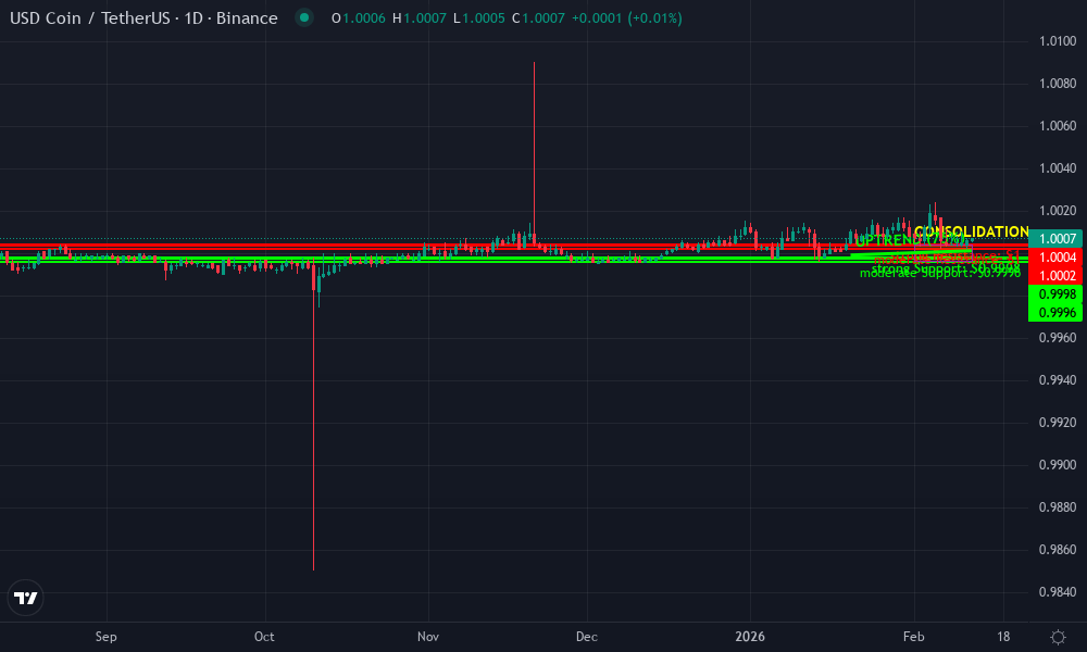 USDC / USDT Technical Chart by Market Analyst