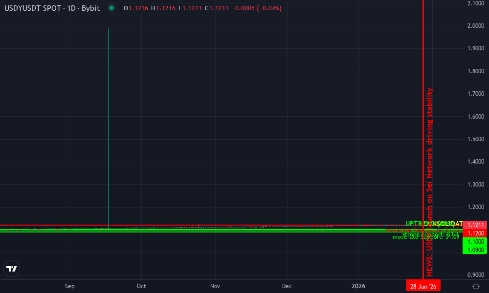 Ondo USDY Technical Chart by Market Analyst