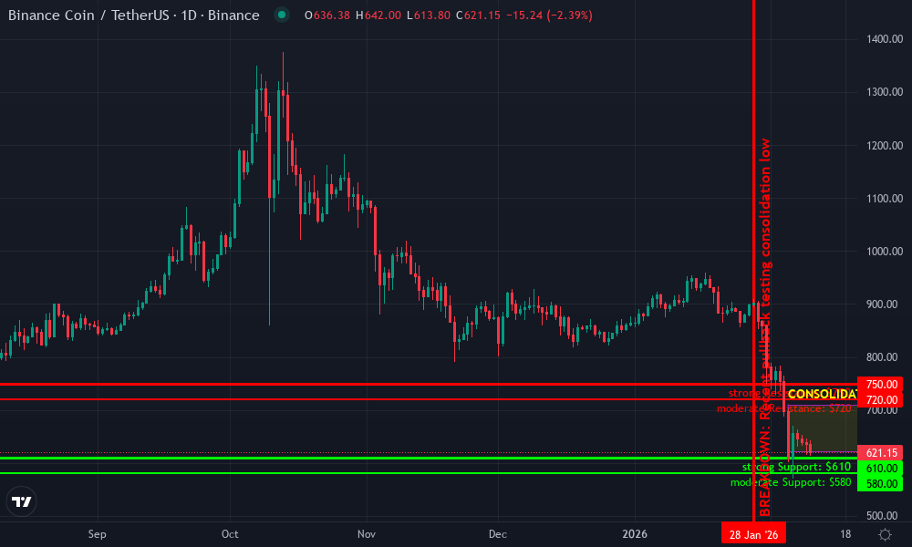 BNB Technical Chart by Market Analyst