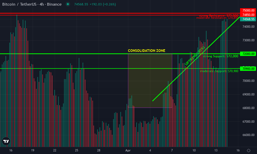 Bitcoin Technical Chart by Dexter Rowley