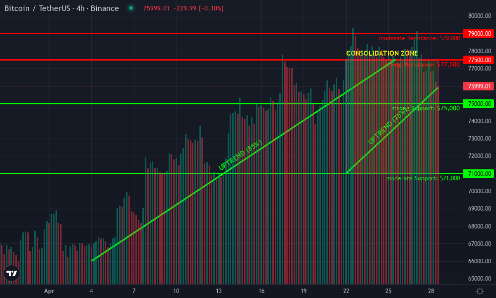 Bitcoin Technical Chart by Dexter Rowley