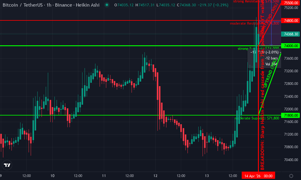 Bitcoin Technical Chart by Emily Vargas