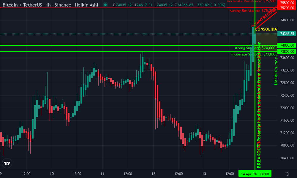 Bitcoin Technical Chart by Emily Vargas