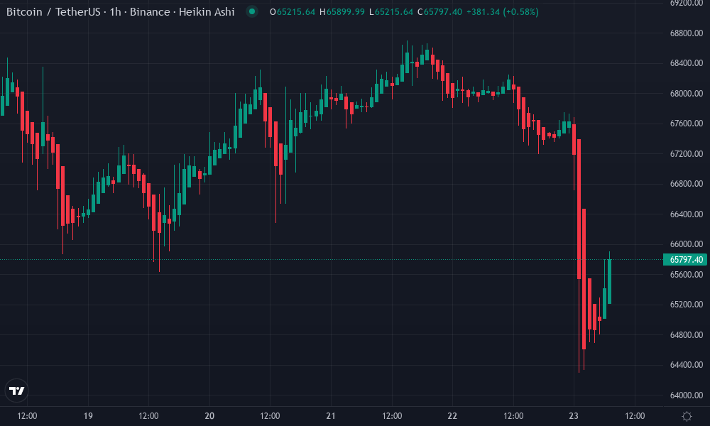 Bitcoin Technical Chart by Emily Vargas