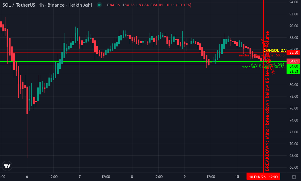 Solana Technical Chart by Erica Townsend