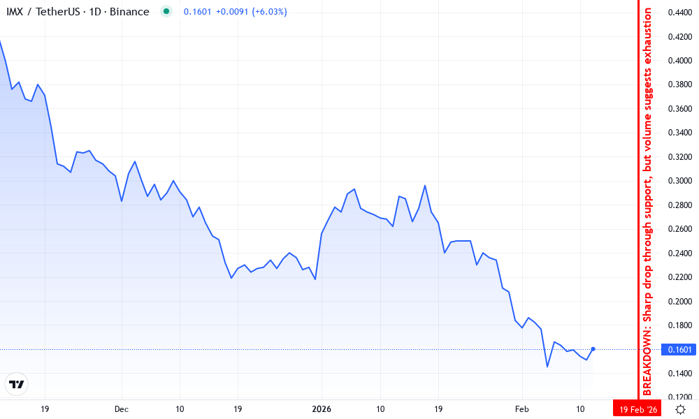ImmutableX Technical Chart by Erin Loftus