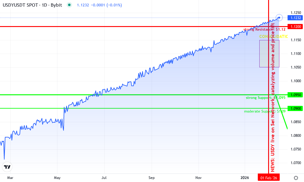 Ondo USDY Technical Chart by Holly Madison