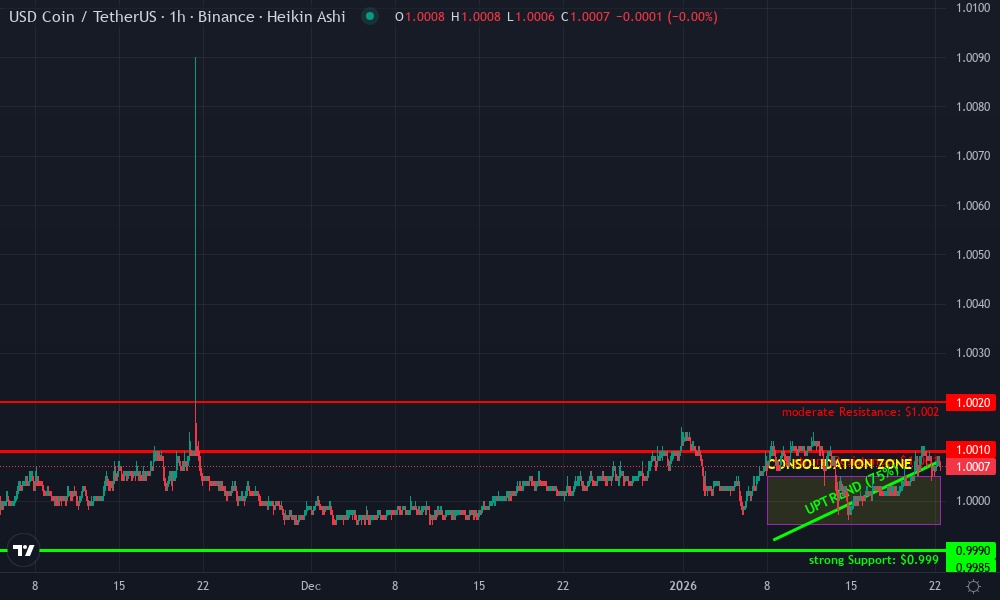 USD Coin Technical Chart by Jasper Holden