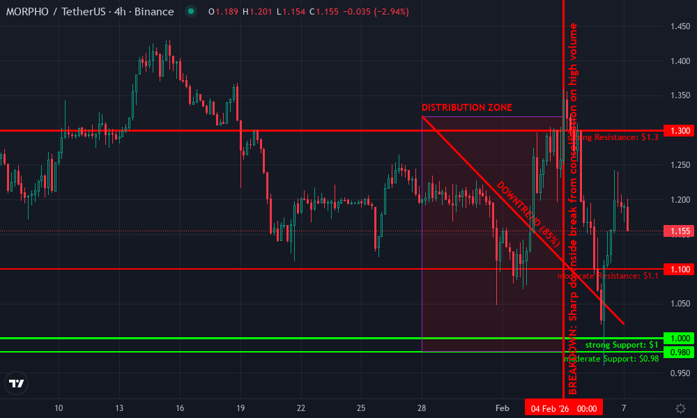 Morpho Technical Chart by Jennifer Langford
