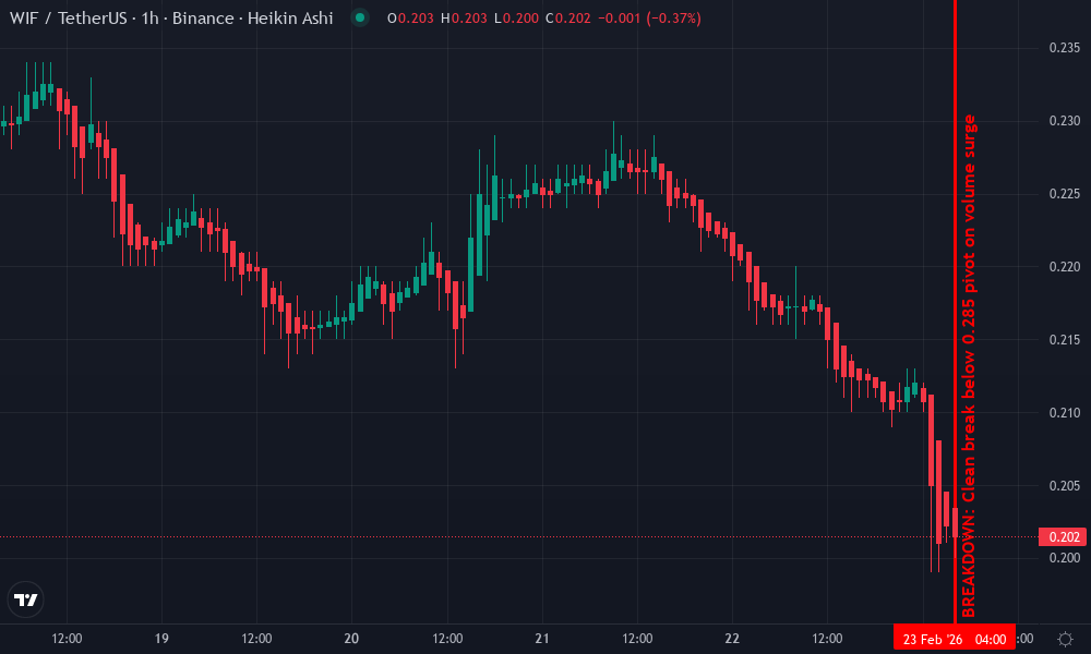 dogwifhat Technical Chart by Liam Davis