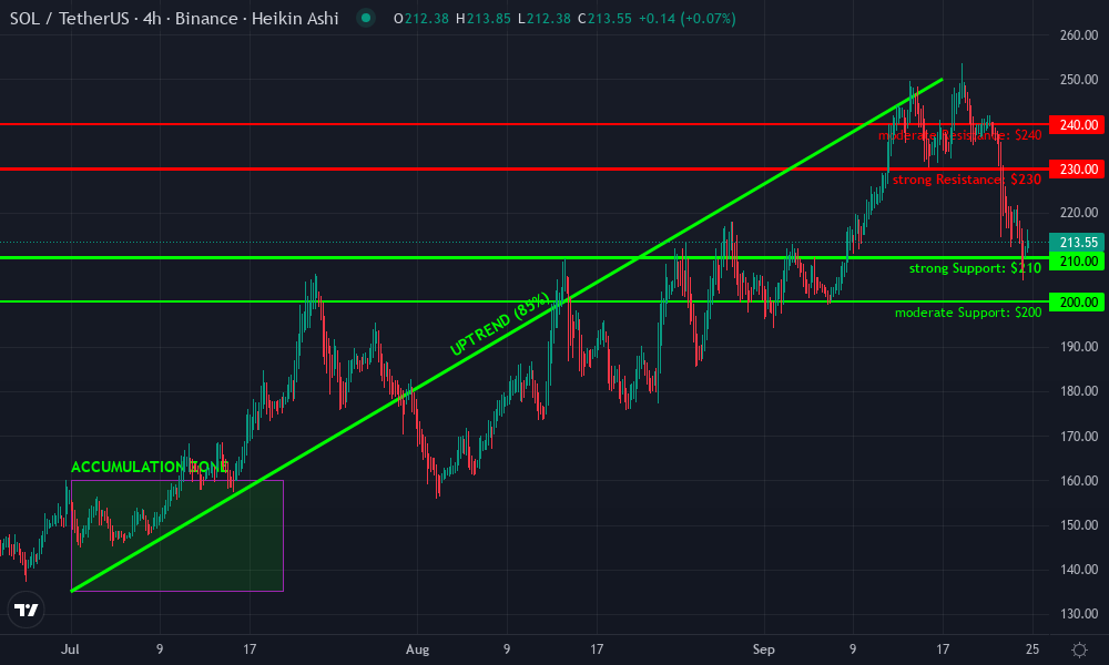 Solana Technical Chart by Lucas Bradford