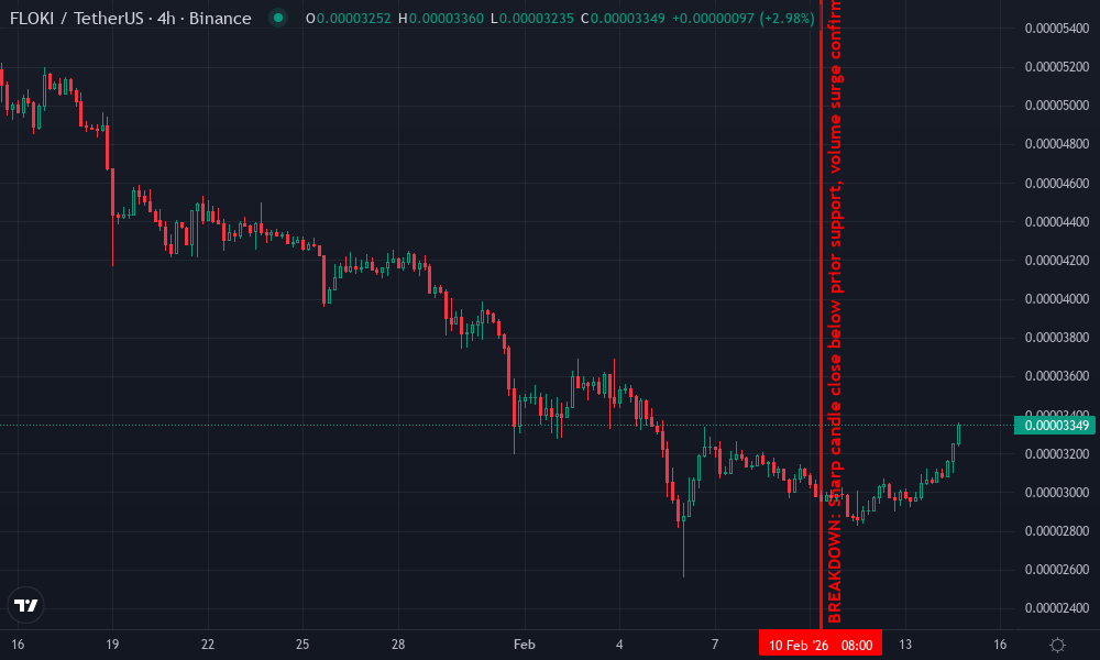 Floki Inu Technical Chart by Sarah Patel