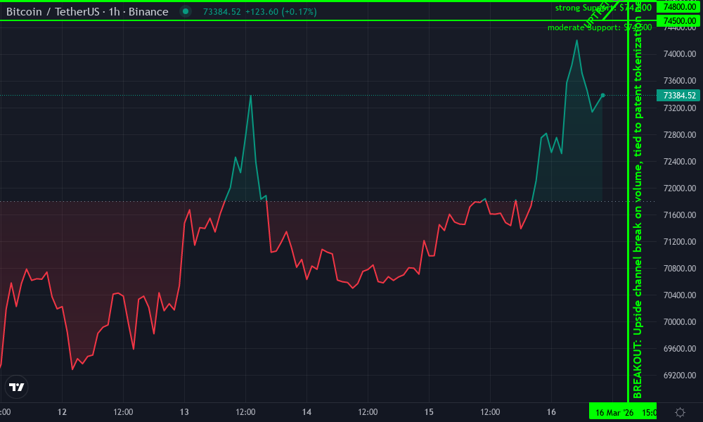 Bitcoin Technical Chart by William Baxter